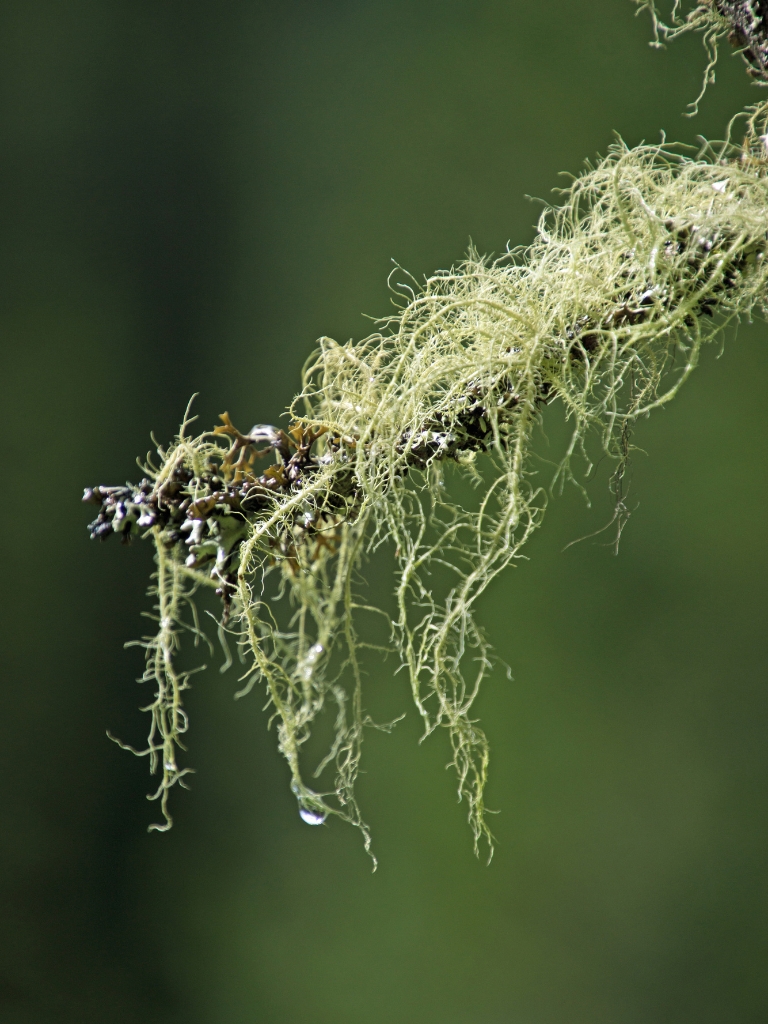 conseil développement durable